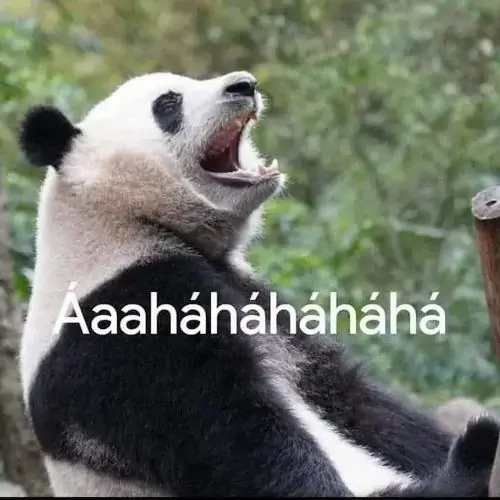 4 3