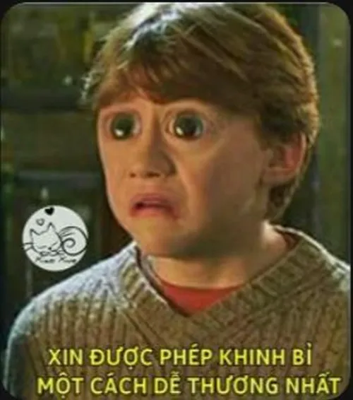 13 Cậu bé mặc áo len trong khung phim cũ mở to mắt lo lắng, dòng chữ xin khinh bỉ tạo nét hài ngượng ngùng