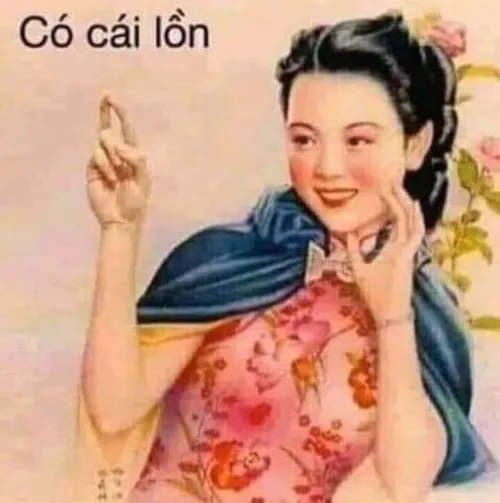 19 Người phụ nữ cổ trang mặc áo hoa hồng giơ tay dòng chữ Có cái lồn làm cú đáp trả nghe vừa tỉnh vừa gắt