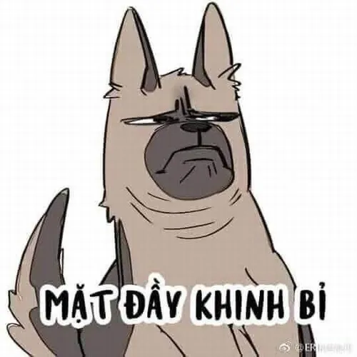 27 Hình vẽ chú chó mặt nhăn khoanh dáng nghiêm nghị kèm chữ Mặt đầy khinh bỉ, nét đơn giản nhưng thái độ rất rõ