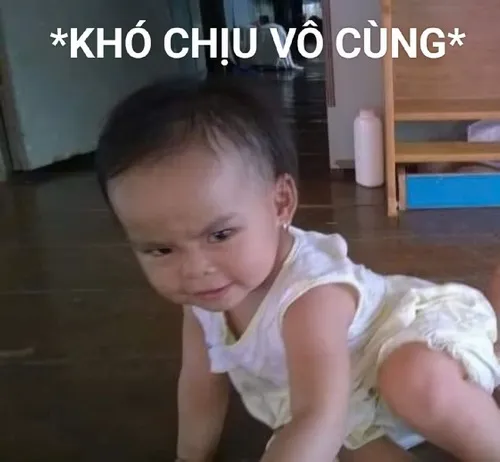 1 Em bé đang bò trên sàn gỗ bỗng khựng lại với gương mặt nhăn nhó cùng dòng chữ khó chịu vô cùng thể hiện sự bực mình đáng yêu.