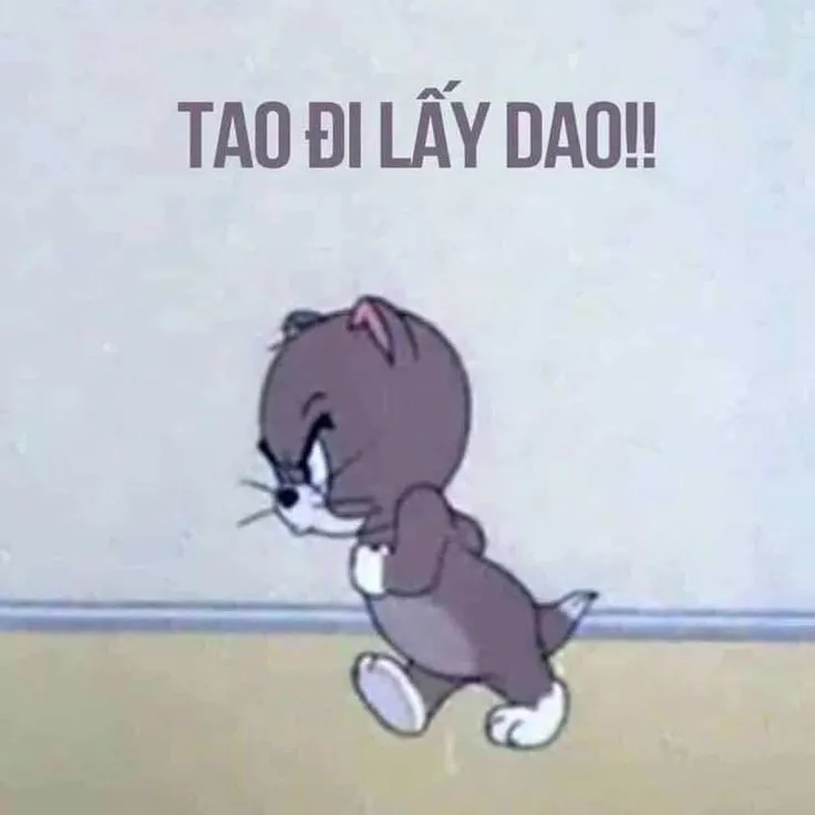 12 Hình chế hài chú mèo Tom hoạt hình mặc áo xám cầm thanh kiếm đi kèm dòng chữ dọa dẫm đầy giận dữ trên nền xanh.