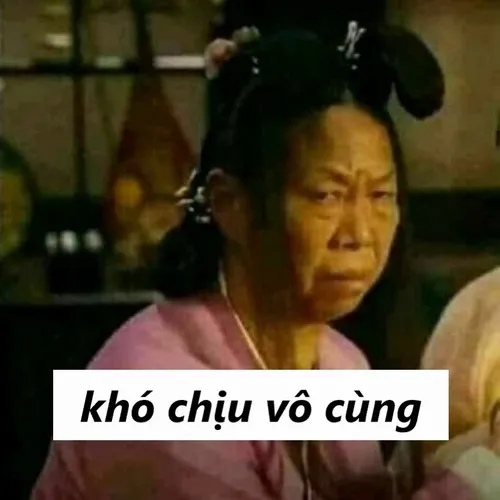 9 Người phụ nữ trung niên búi tóc cao mặc áo hồng có biểu cảm trễ môi khinh miệt đi kèm dòng chữ khó chịu vô cùng.
