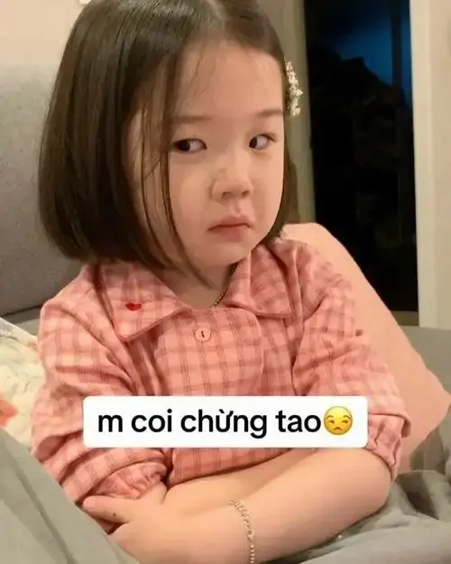 14 Bé gái cắt tóc mái bằng mặc áo sọc hồng khoanh tay lườm nguýt tạo nên một meme lườm đầy phán xét khiến cộng đồng mạng vô cùng thích thú.