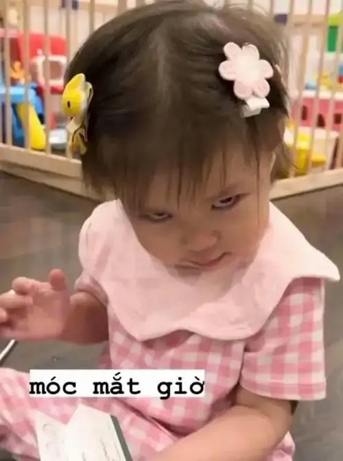 19 Tấm hình lườm mắt biểu lộ cạn lời của bé gái cài hoa trên tóc cùng dòng phụ đề đanh đá tạo nên sự kết hợp tấu hài đỉnh cao.