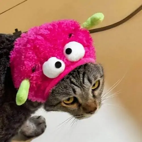 36 Meme vui người mẹ mặc tạp dề đứng bếp đang liếc ngang đứa con lười biếng đầy nghiêm khắc làm người xem nhớ tới những trận đòn roi tuổi thơ.