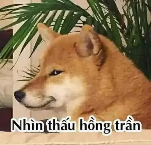 39 Hình lườm mắt châm biếm sâu sắc của cô người mẫu mặc váy dạ hội lộng lẫy khi bất ngờ nhìn xéo ống kính máy quay tạo nên điểm nhấn khó quên.