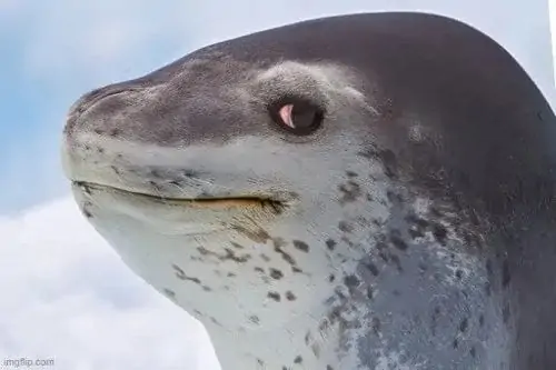 48 47
