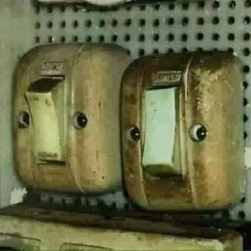56 55