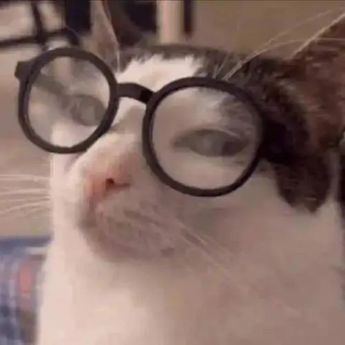 58 57