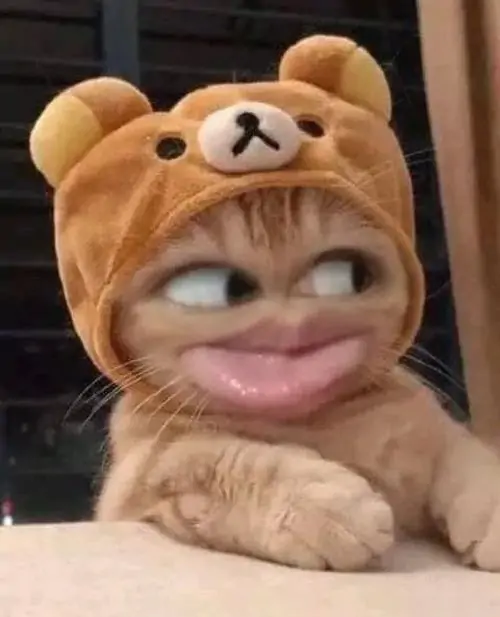 62 61