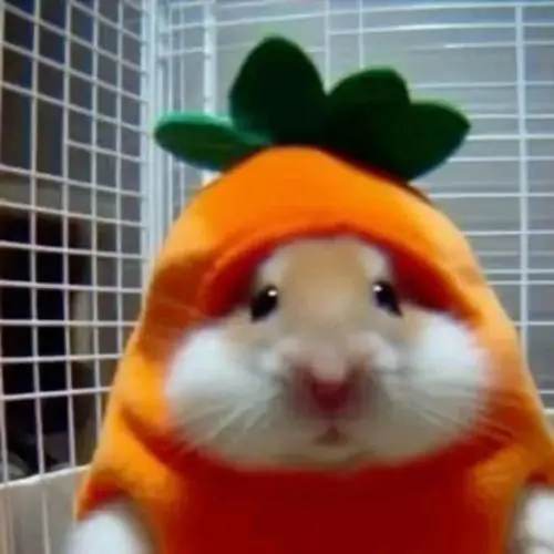 48 47