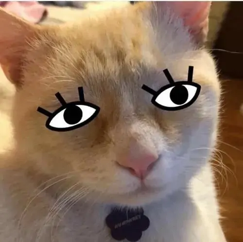 38 37