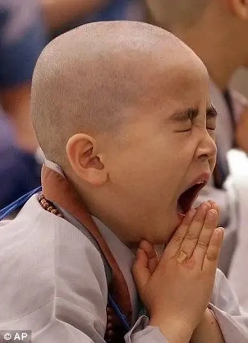 3 Chú tiểu mặc áo nâu há miệng ngáp lớn, hai tay chắp sát mặt tạo cảm giác bối rối rất đời thường