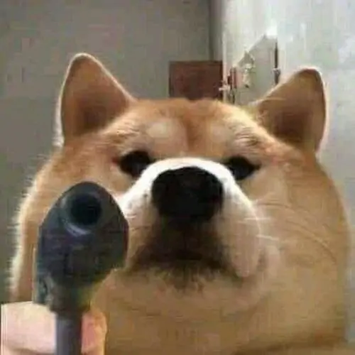 10 Ảnh Meme Shiba Cầm Súng Gây Cười Mạnh Cho Những Pha Phản Ứng Khó Đỡ