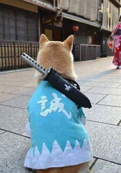 15 14
