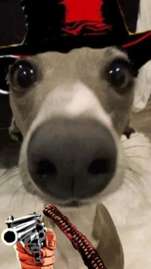 11 10