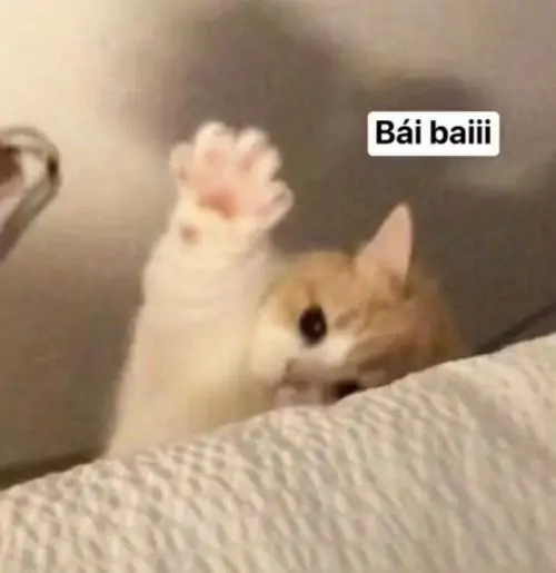 1 Chú mèo con màu vàng trắng giơ chân lên cao vẫy chào kèm dòng chữ ngắn gọn thể hiện sự chia tay vô cùng dễ thương.