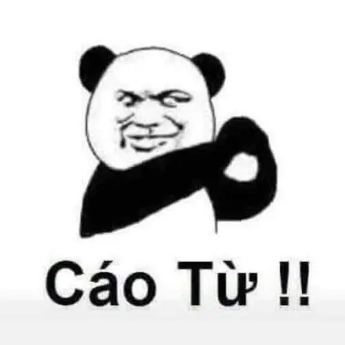 3 Gương mặt gấu trúc biểu cảm nghiêm túc phối hợp cùng hành động giơ tay dứt khoát đẩy người xem vào tình huống muốn rời đi ngay.
