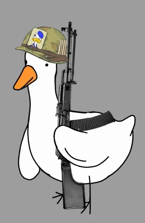 26 25