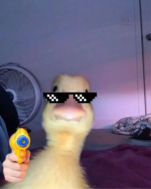 30 29