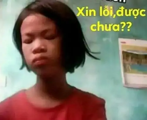 15 Hình xin lỗi vui nhộn có cô gái mặc áo xanh cúi mặt buồn bã, câu được chưa phía sau làm cảm xúc hơi nhây