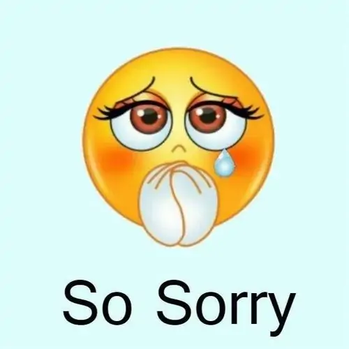 16 Gương mặt vàng mắt long lanh chắp tay cầu xin, dòng So Sorry bên dưới khiến lời nhận lỗi trông mềm và dễ bỏ qua