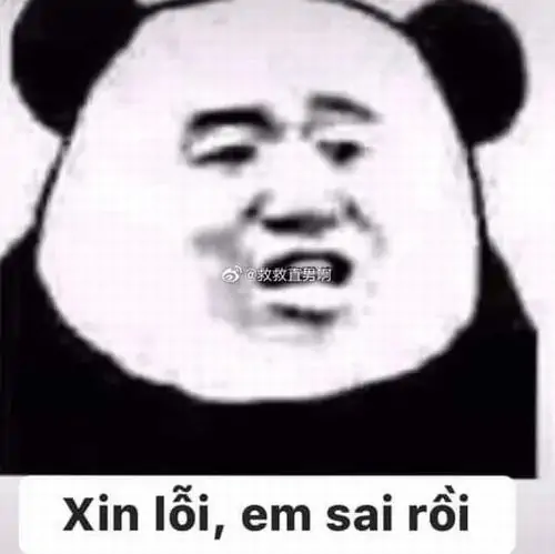 19 Gương mặt gấu trúc đen trắng nhe răng cười quê, câu xin lỗi em sai rồi làm tình huống nhận lỗi bớt nghiêm trọng