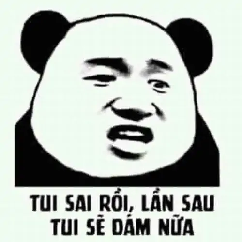 20 Mặt gấu trúc phóng đại nhìn ngang đầy tự tin, dòng tui sai rồi lần sau sẽ dám nữa nghe nhận lỗi mà vẫn lì