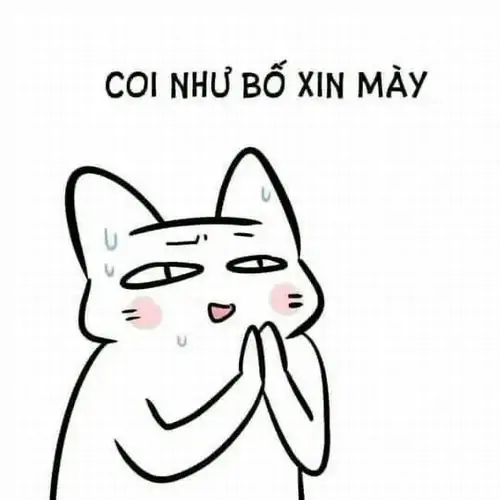 29 Ảnh hài tạ lỗi có mèo trắng chắp tay, mắt liếc tinh quái, câu coi như bố xin mày nghe năn nỉ mà cà khịa