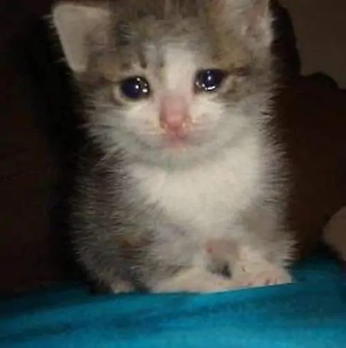 79 78