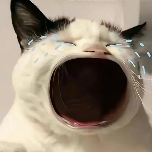 67 66