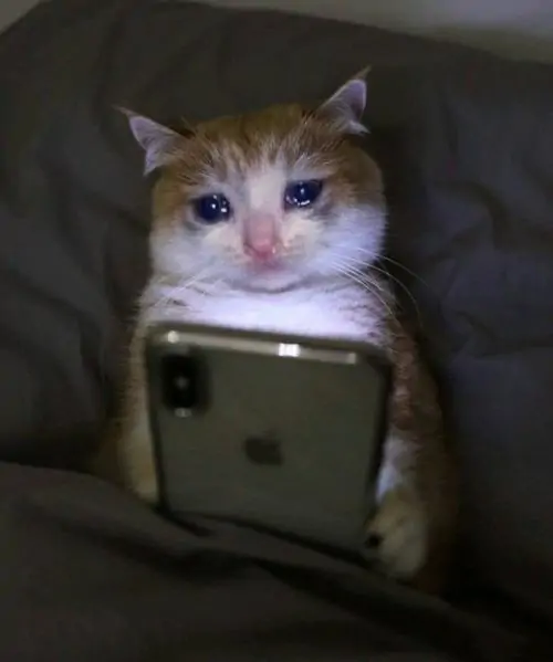 77 76