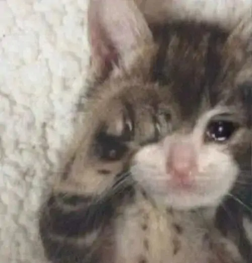 51 50