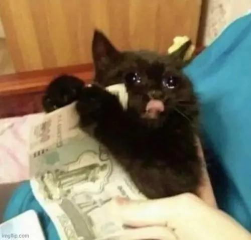 53 52