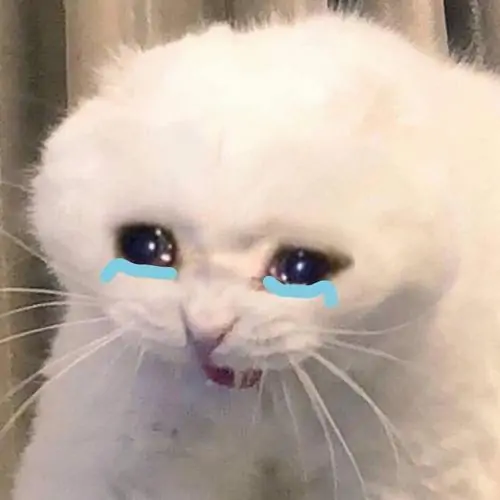 55 54