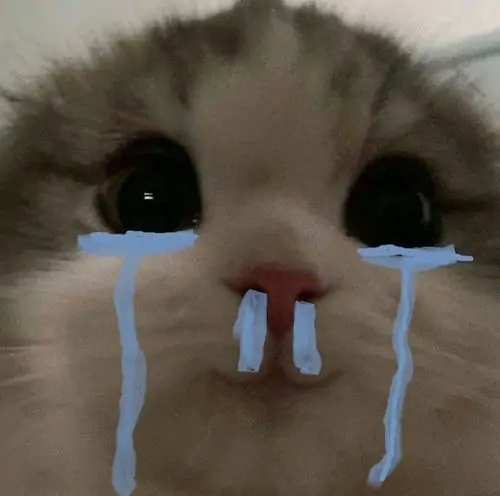 57 56