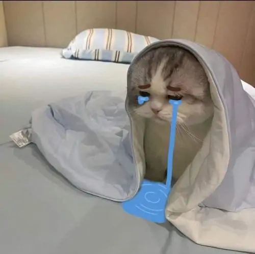 59 58