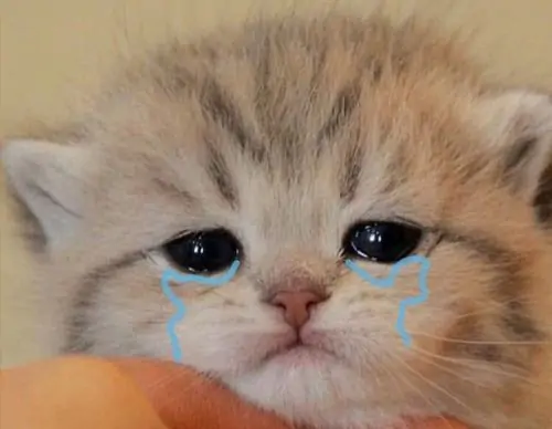 63 62