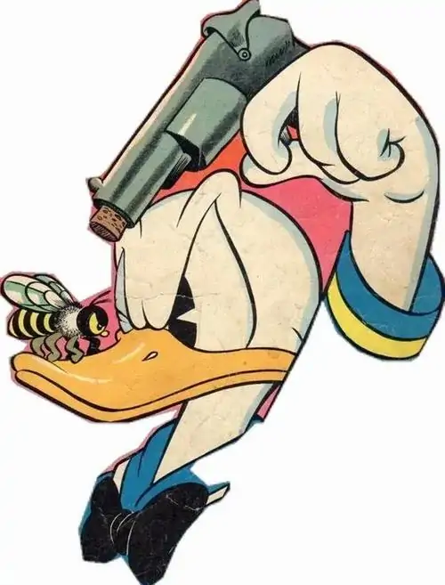 63 62