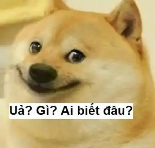 89 88