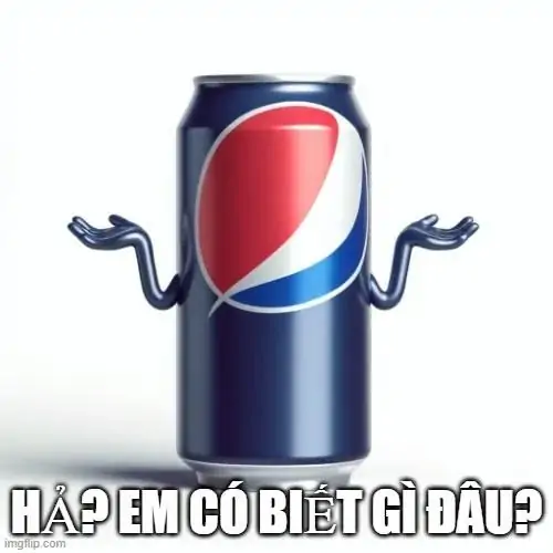 65 64