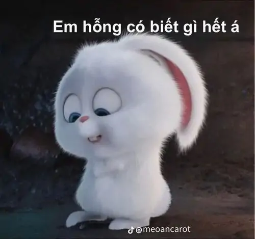 67 66