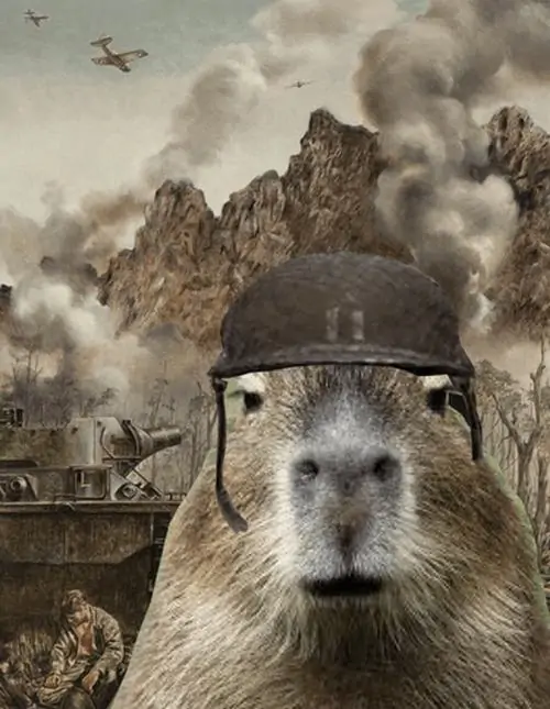 23 Chiếc mũ lính giữa nền khói nổ khiến Capybara nghiêm mặt bất thường, sự bình tĩnh của nó làm khung cảnh căng thẳng hóa hài
