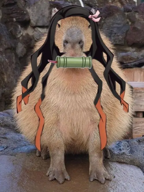 14 Capybara đeo balo và tai nghe đứng cạnh tường đá, dáng ngồi thẳng nhưng mặt đơ như học sinh vừa bị gọi kiểm tra