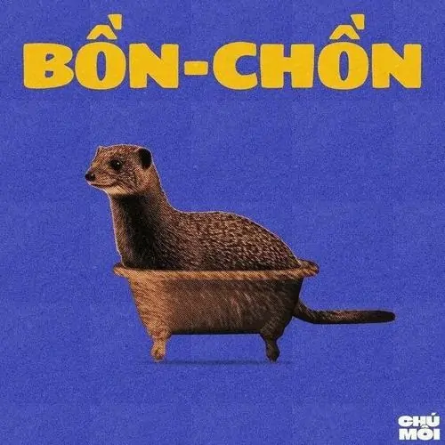 3 Chú chồn nằm gọn trên bồn nhỏ với chữ bồn chồn, nhìn tỉnh bơ như đang minh họa đúng nghĩa đen
