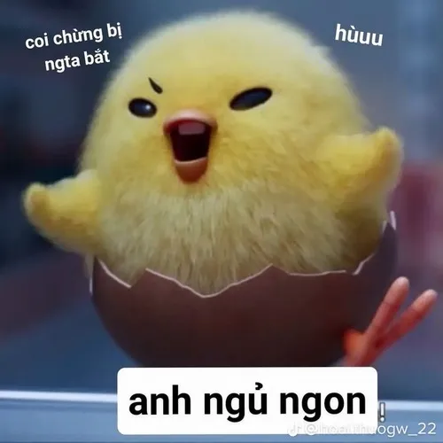 10 Chú gà vàng trong vỏ trứng kèm chữ anh ngủ ngon, biểu cảm lim dim hợp cảnh chúc ngủ kiểu hơi nhõng nhẽo