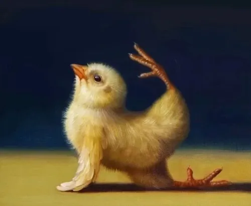 1 Chú gà con ngồi nghiêng trên nền tối, một chân giơ cao như đang phản ứng hoang mang trước tình huống khó hiểu