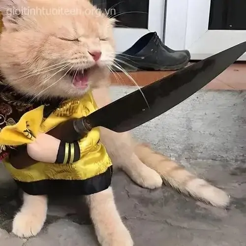 6 Mèo khoác áo vàng kiểu ong thợ ngồi trên sàn nhà, mắt nhắm hờ khi ôm con dao lớn theo kiểu nghiêm túc quá mức