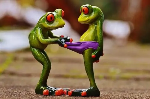 14 Hai chú ếch tạo dáng bắt tay giữa đường, trang phục tím đỏ làm cảnh đời thường trở nên nhây như cuộc gặp đàm phán nghiêm túc